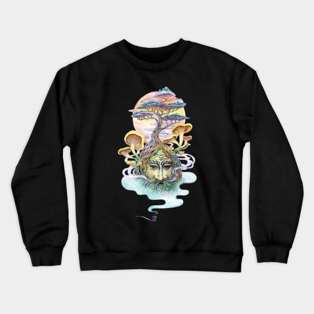 Shaman Don Juan Crewneck Sweatshirt by ruta13art